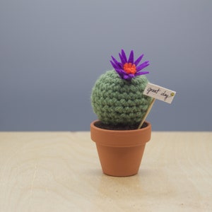 Small Barrel Crocheted Cactus With Flower/ Working Space Decoration/ Home decoration/ Best Gift/Favor image 2