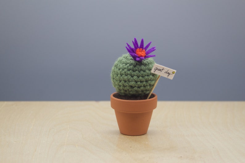 Small Barrel Crocheted Cactus With Flower/ Working Space Decoration/ Home decoration/ Best Gift/Favor image 2