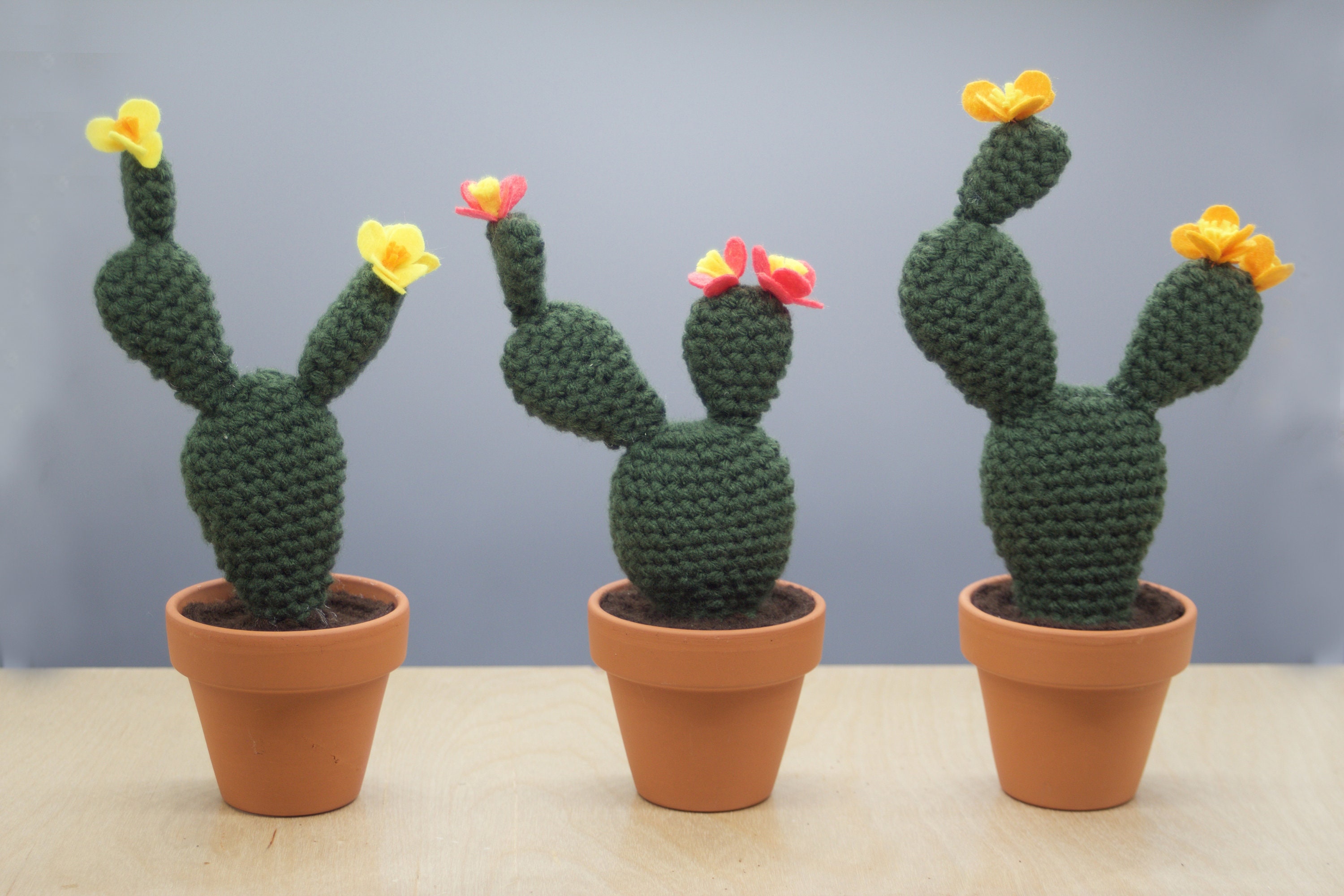 Paddle Crocheted Cactus With Flower/ Working Space Decoration/ Home
