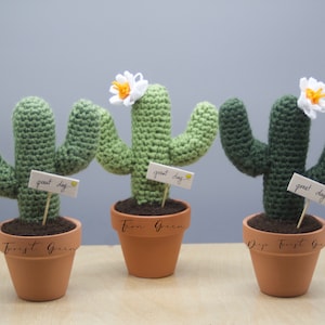 Saguaro Crocheted Cactus - Working Space Decoration - Best Gift - Favor - Home decoration
