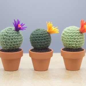 Small Moon Crocheted Cactus With Flower Working Space Decoration/Best Gift