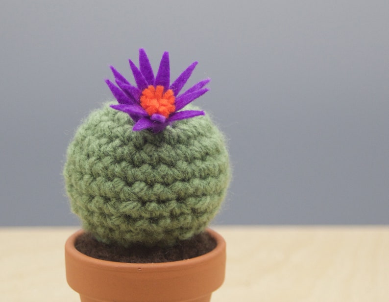 Small Barrel Crocheted Cactus With Flower/ Working Space Decoration/ Home decoration/ Best Gift/Favor image 3