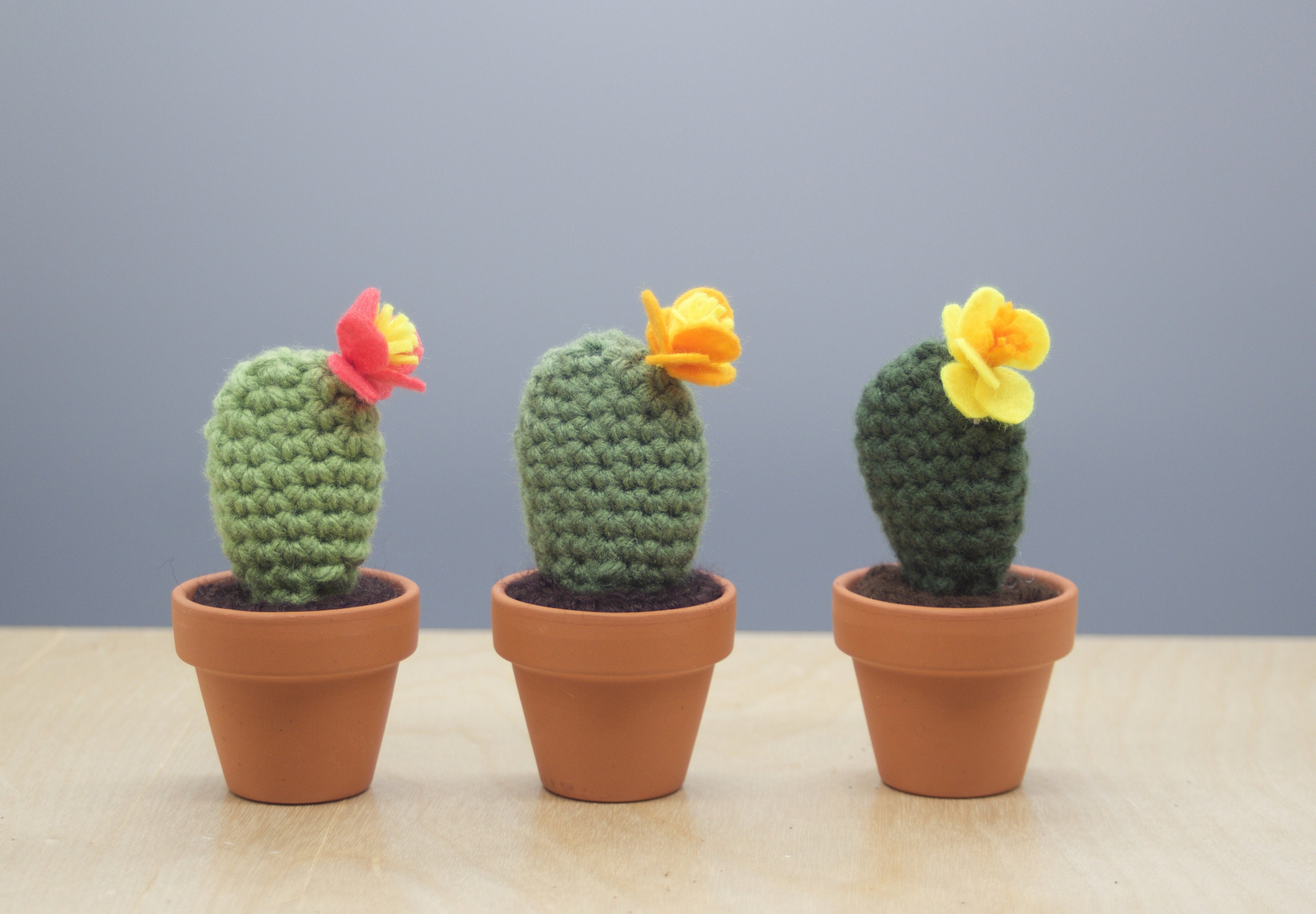 Small Paddle Crocheted Cactus With Flower/ Working Space Decoration