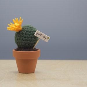 Small Barrel Crocheted Cactus With Flower/ Working Space Decoration/ Home decoration/ Best Gift/Favor image 4