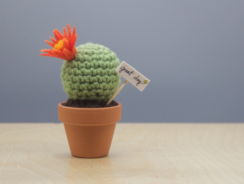 Small Barrel Crocheted Cactus With Flower/ Working Space Decoration/ Home decoration/ Best Gift/Favor image 5