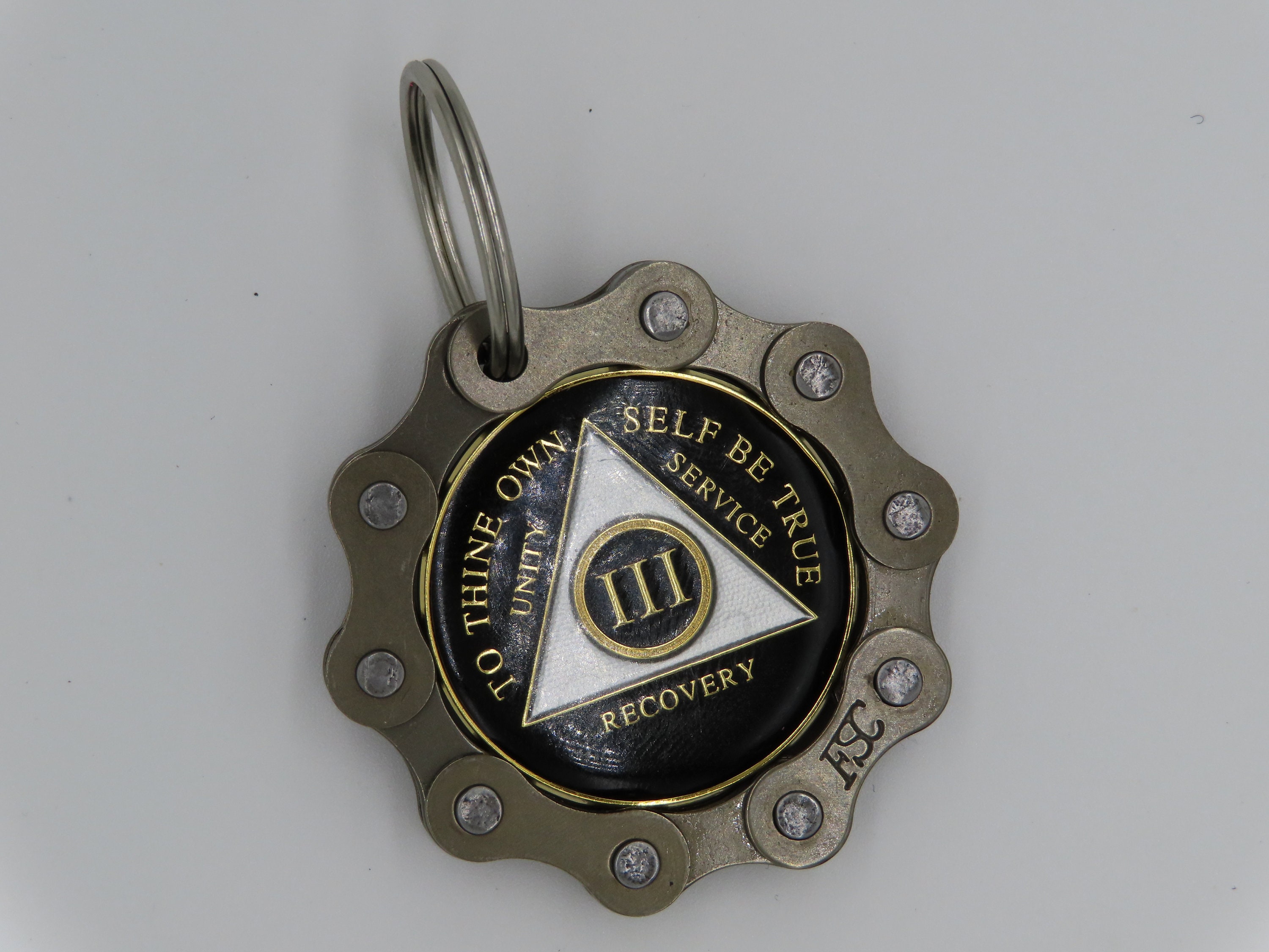 Silver AA Medallion Keychain - 34mm Recovery Chip/Coin/Token Holder