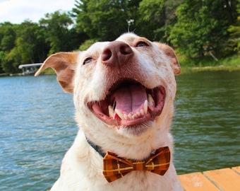 Fall Plaid Dog Bow Tie, Slide-On Collar Accessory, Harvest Gold Plaid, Autumn Pet Gift