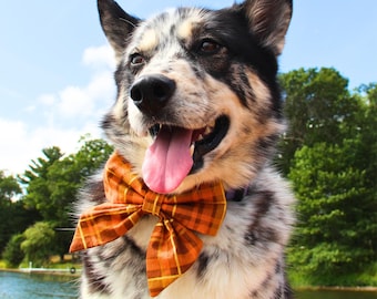 Fall Plaid Dog Bow, Slide On Sailor Bow, Over the Collar Dog Accessory, Harvest Gold Plaid, Autumn Pet Gift