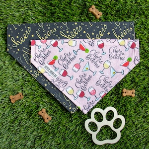Reversible Dog Bandana: Champagne Cheers & Sassy Wine Print, Over the Collar