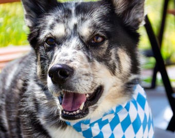 Wende-Halstuch für Oktoberfest-Hunde: Bierkrug & Trachtenmotiv