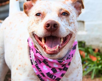 Mama's Girl Dog Bandana personalized, Slide on the Collar, Mama's Girl & Nosé All Day , Dog Mother's Day Gift