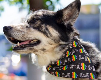 Reversible Pride Dog Bandana: Love is Love & Rainbow Stripe, Slide-On Scarf
