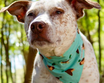 Reversible Hunting Dog Bandana: Mallard Duck & Red Plaid, Over-the-Collar Scarf