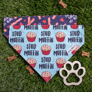 Rolig hundbandana: Vändbar alla hjärtans dag-halsduk, nitmuffins och Don't Go Bacon My Heart