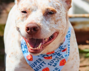 Super Mutt Dog Bandana, Slip over the Collar Reversible, Just Here For the Treats Bandana, Handmade Pet Accessory
