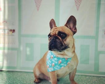 Reversible Ice Cream & Surf Dog Bandana - Over the Collar, No Tie