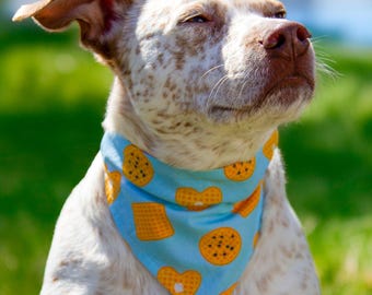 Reversible Dog Bandana: Pink Banana & Blueberry Waffle, Slide-On the Collar