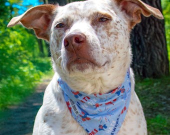 Reversible 4th of July Dog Bandana, Slide-on, Over the Collar, No Tie, Slip-on, Double Sided Dog Scarf (I Hate Fireworks& Patriotic Tie Dye)