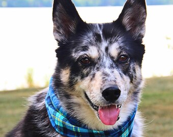 Flannel Plaid Dog Infinity Scarf, Handmade Slip On Dog Snood, Blue Plaid Fall Dog Neck Warmer, Cozy Autumn Pet Gift, S M L XL