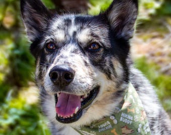 Reversible Dog Bandana: Hiking Buddy & Wilderness Badges, Slide-On the Collar Scarf