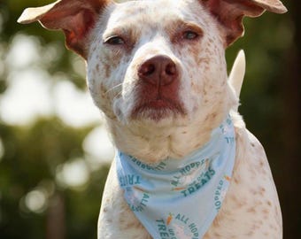 Spring Dog Bandana, Handmade Reversible Easter Pet Scarf, over the collar, Hopped up on Treats & A little Egg-stra, Dog Bandana Personalized