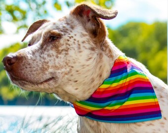 Rainbow Dog Bandana, Reversible Pride Dog Scarf, Love is Love, Pride Dog Bandana, Personalized Over the Collar Pet Accessory