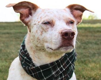 Flannel Plaid Dog Infinity Scarf, Handmade Slip On Dog Snood, Forest Green Plaid Fall Neck Warmer, Cozy Autumn Pet Gift, S M L XL