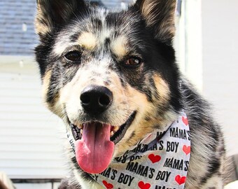 Mama's Boy Dog Bandana, Over the Collar, Reversible Pet Scarf, Ball is Life, Dog Mom Gift
