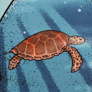 May include: A brown sea turtle swims in blue water, trapped inside a clear plastic bag. The bag is partially obscured by blue and white stripes.