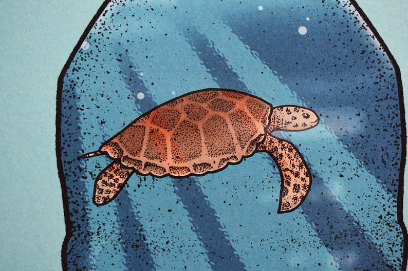 May include: A brown sea turtle swims in blue water, trapped inside a clear plastic bag. The bag is partially obscured by blue and white stripes.