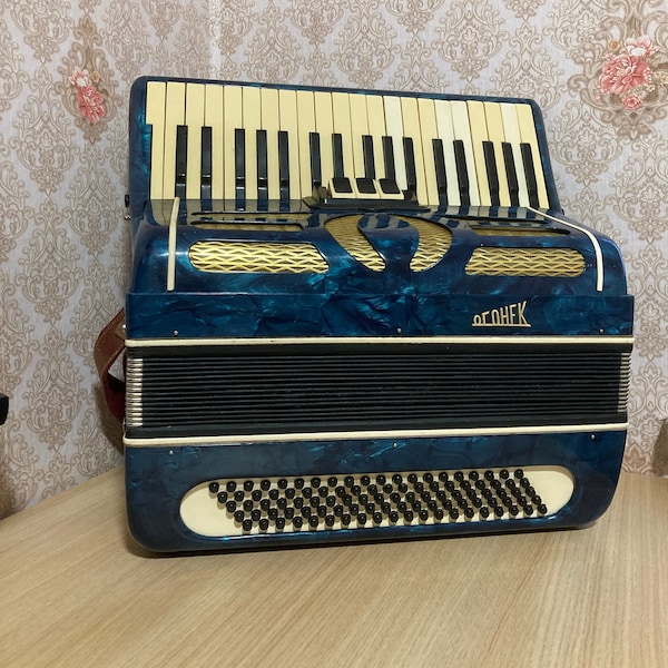 Working Russian accordion. 100 Bass. 3 registers. Accordion. Russian accordion. Piano accordion. Musical instrument.