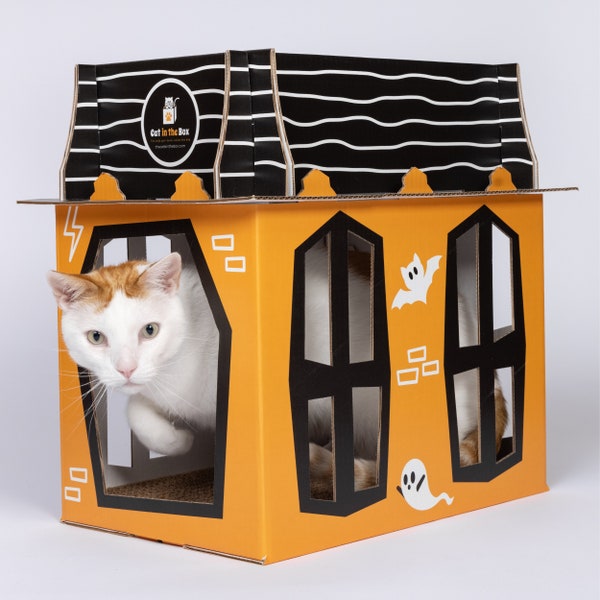 Spooky Cat Haunted House - Cardboard Box Halloween Playhouse for Cats, Kittens, Rabbits, Ferrets, Guinea Pigs