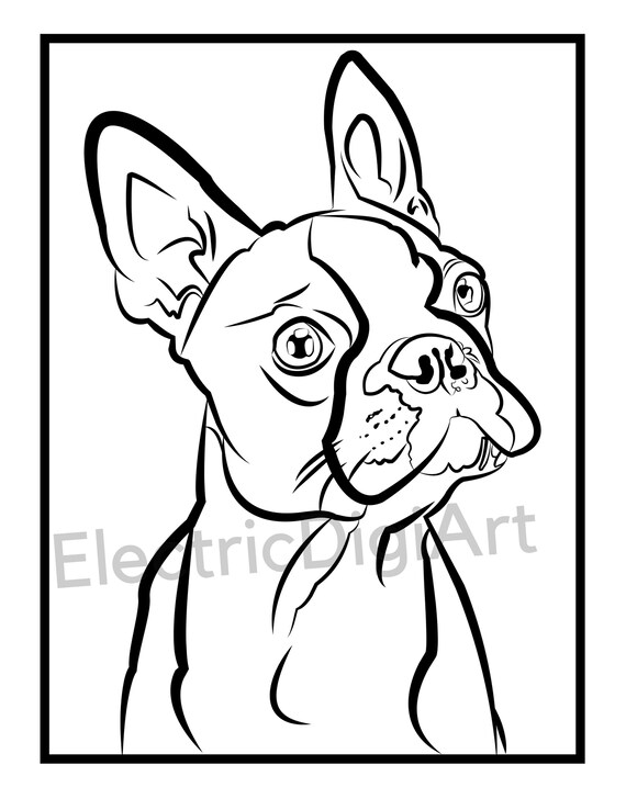 Boston Terrier Coloring Sheet Etsy