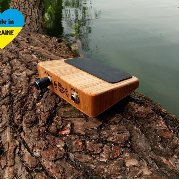 Boîte électro en bois personnalisée percussion au pied avec deux micros cadeau instrument de musique pour guitaristes banjo ukulélé cajon joueur