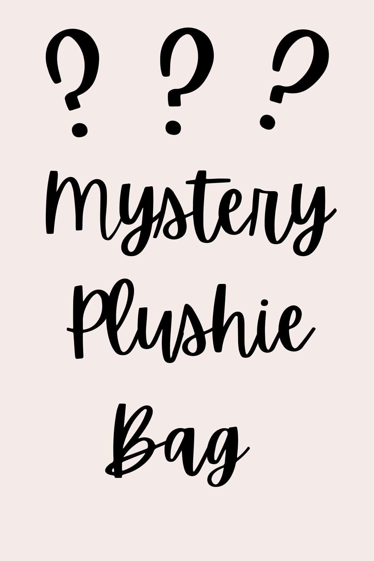 Mystery Crochet Plushie Bag - Surprise Handmade Amigurumi Toys and Extras - Unique Gift for All Ages - Limited Edition Mystery Box