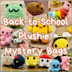 Back-to-School-Plüschtier Grab Bag | Wähle Deine Größe!