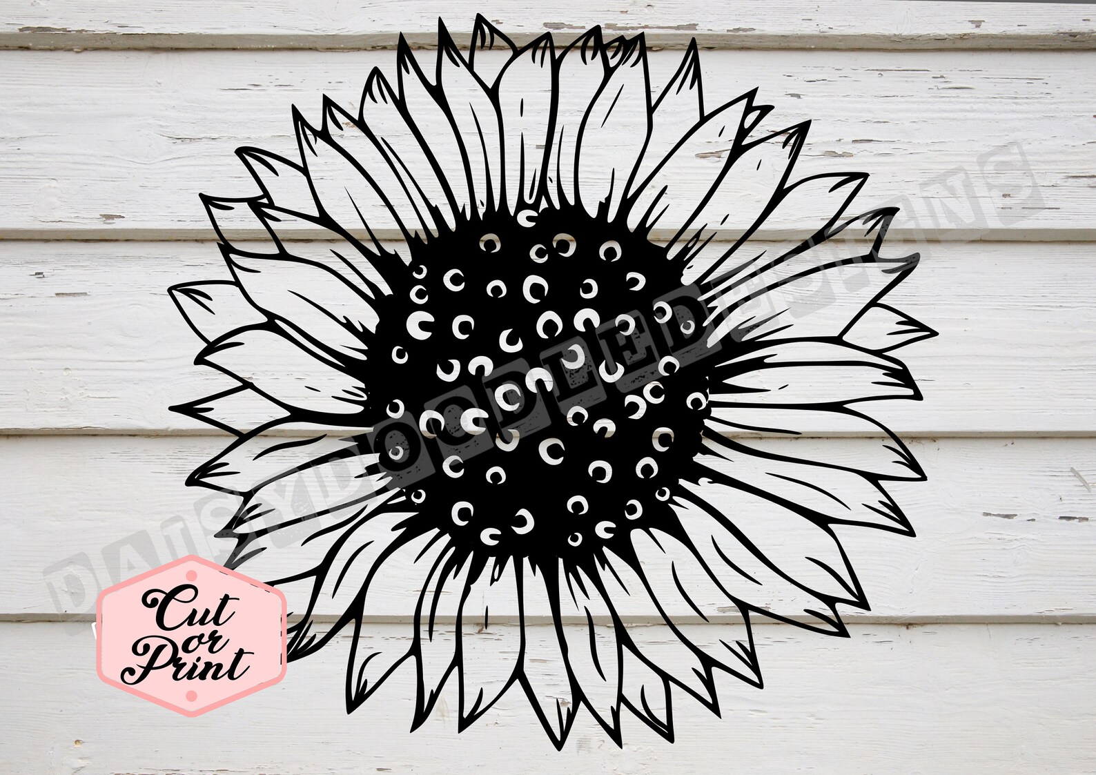 Sunflower svg sunflower png sunshine dxf floral svg garden svg Etsy