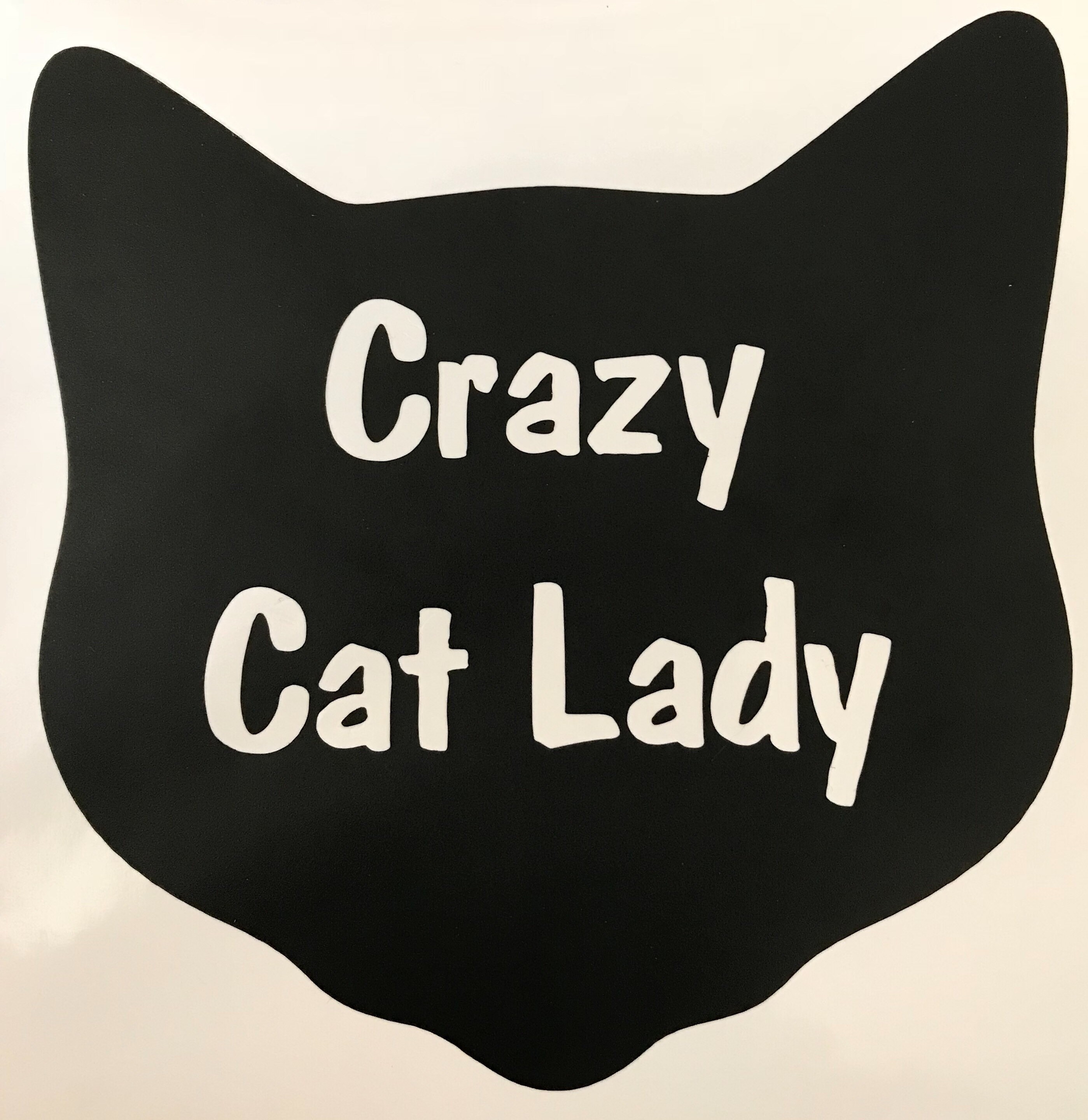 Crazy Cat Lady Sticker Funny Cat Lover Decals Outdoor Vinyl 2 pack 6" WS336 Crazy Cat Lady Sticker Funny Cat Lover Decals Outdoor Vinyl 2 pack 6" WS336