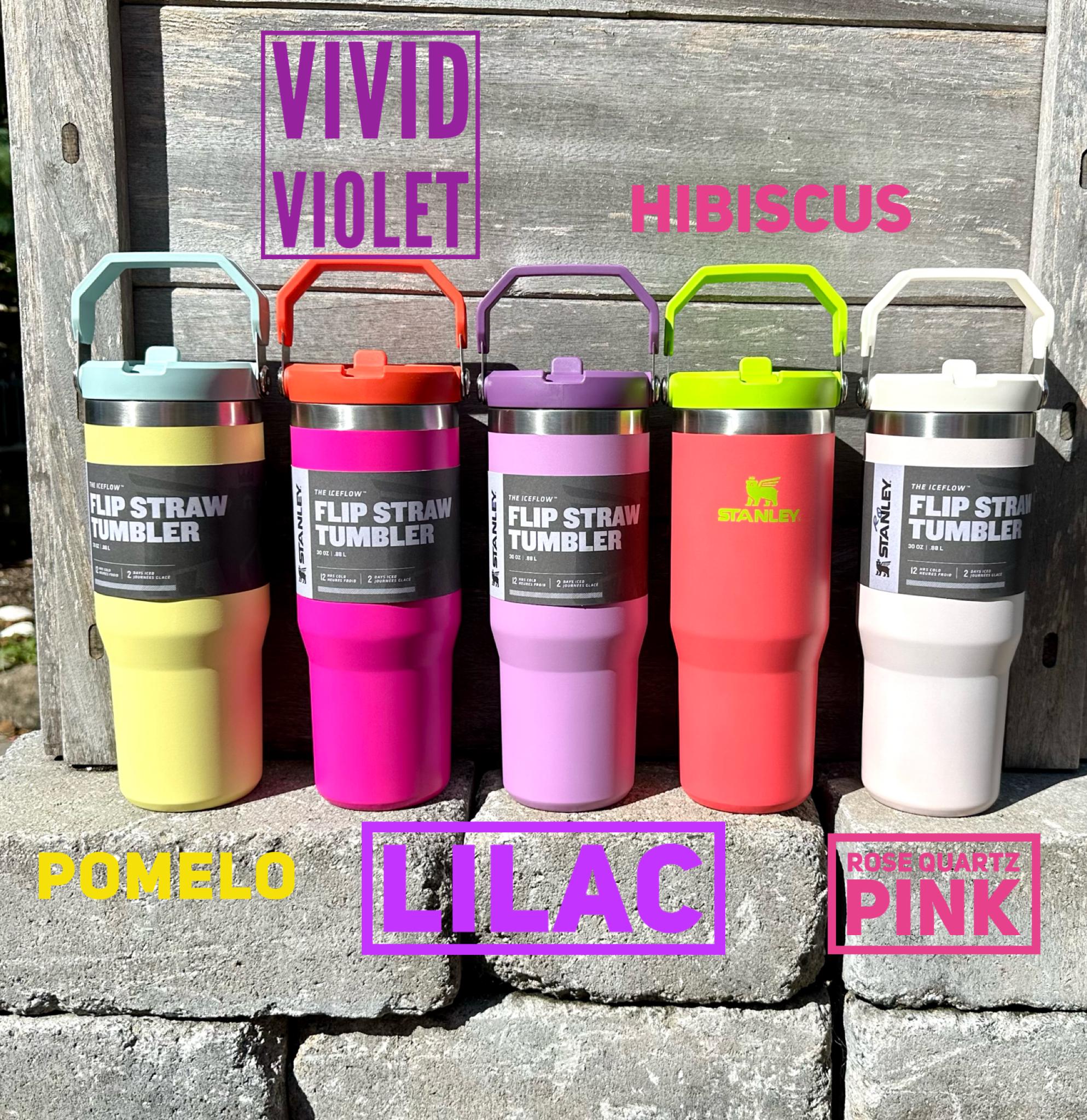 Personalized Stanley Iceflow Tumbler: 30 Oz Engraved Flip Straw Travel Cup  - Etsy