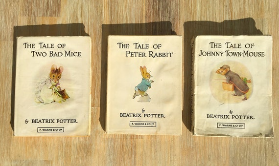 adidas usadas warnes