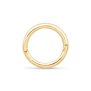 14k Gold Charm and Hoop Earring, Huggie Charm with Hoop, Mini Charm and Hoop For Helix Tragus Lobe Daith Rook Piercings - NOT A PAIR