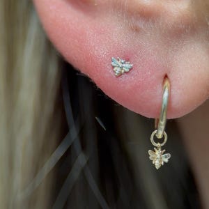 Pendiente Con Diseño de Abeja en Oro Blanco de 14k,Piercing para Helix, Tragus, Stud, Roscado 18G, Piercing de Oro Solido, Stud para Mujeres