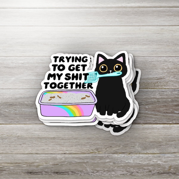 Trying to Get My S**t Together Sticker