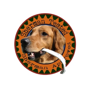 Chew Proof Dog Leash Etsy UK
