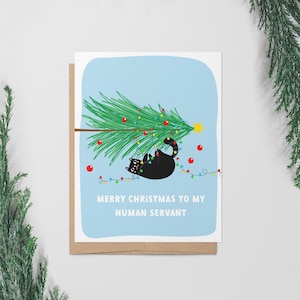 Carte de Noël de chat de Zazzle.be Liste d'envies Vous avez des idées ? Cartes de voeux drôles mignonnes de vacances d'animal de compagnie | Amoureux des chats, papa, maman, cadeau de Noël, amoureux des chats | Bébé rigolo en fourrure