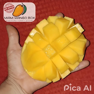 On Sale! 7 Lbs Delicious Premium Haden Mango Fruit Tommy Atkins Florida Fruit Box