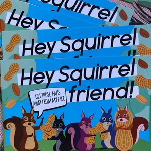 Pakje van 6 kaarten-Hey Squirrel Friend! Haal die noten weg van mijn gezicht. RuPaul's Drag Race geïnspireerd briefkaartpakket