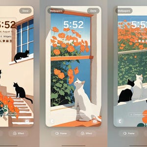 Phone wallpaper | Cute cat wallpaper Cat phone wallpaper Cat Lockscreen Cat iphone wallpaper Animal Wallpaper Cute IOS Android screen