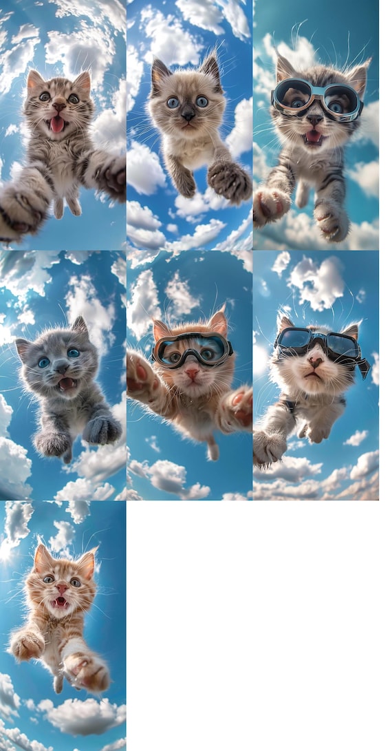 Hipster Iphone Wallpaper Cats