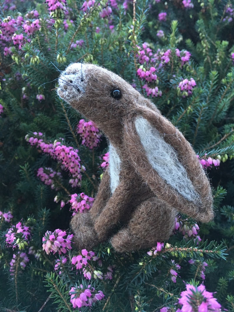 Moon Gazing Hare Needle Felting Kit Etsy